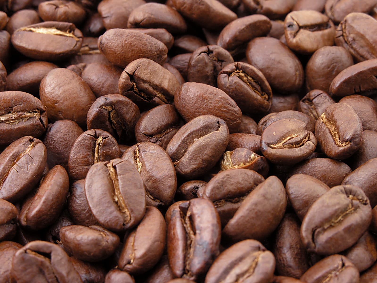 Nokha Kaffee